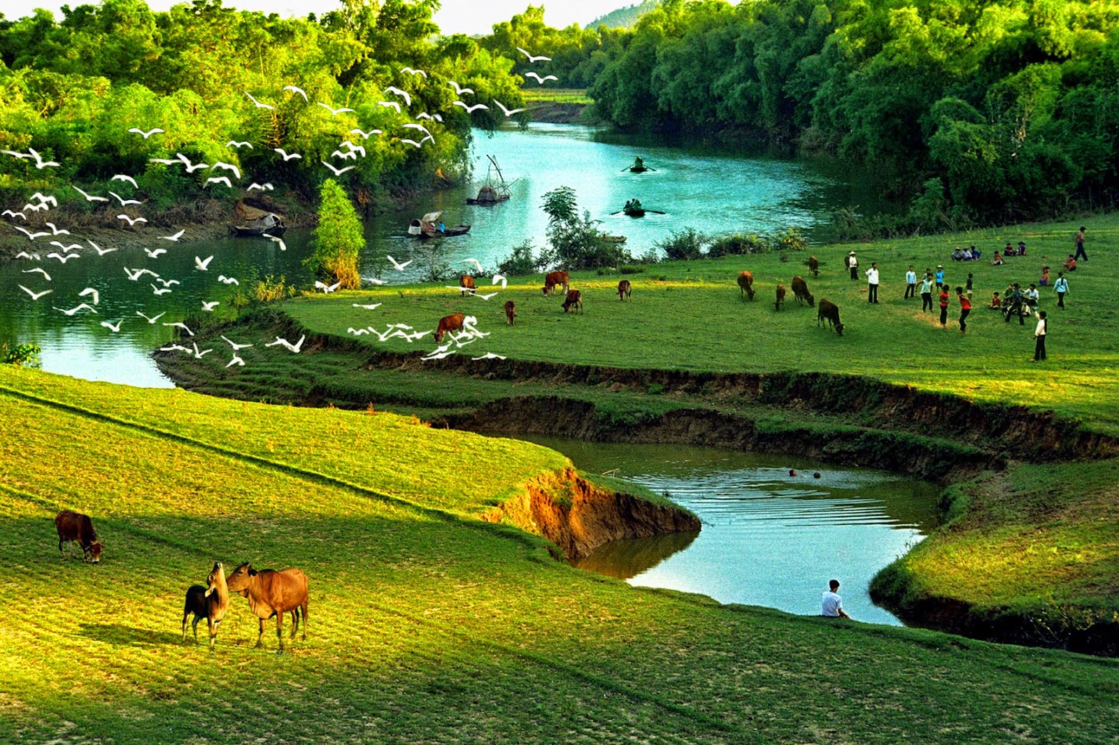 Tổng hợp ý 100+ hình nền quê nhà nước Việt Nam rất đẹp lộng lẫy