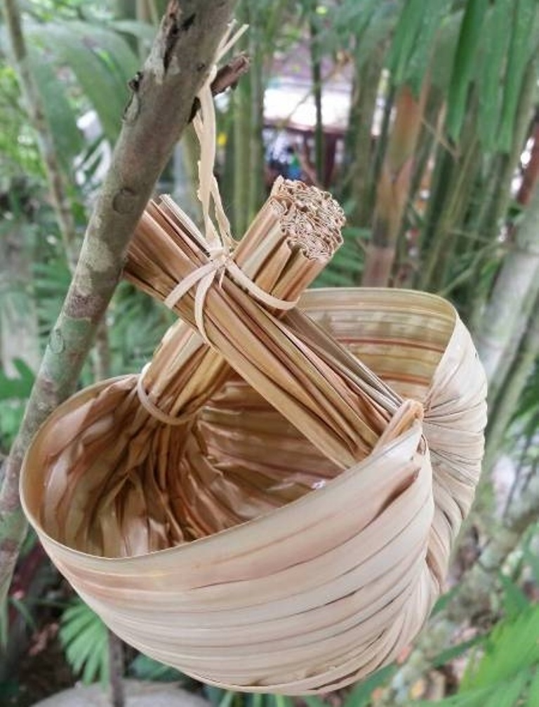 bamboo7.jpg