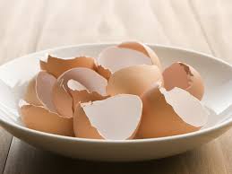 eggshells in plate.jpg
