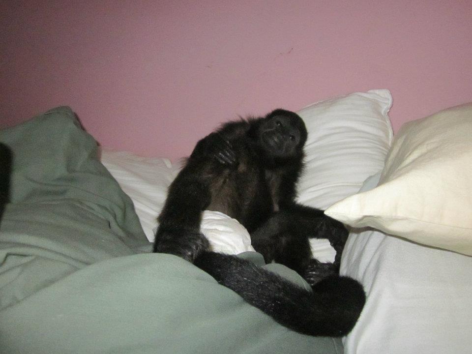 mimi in bed.jpg
