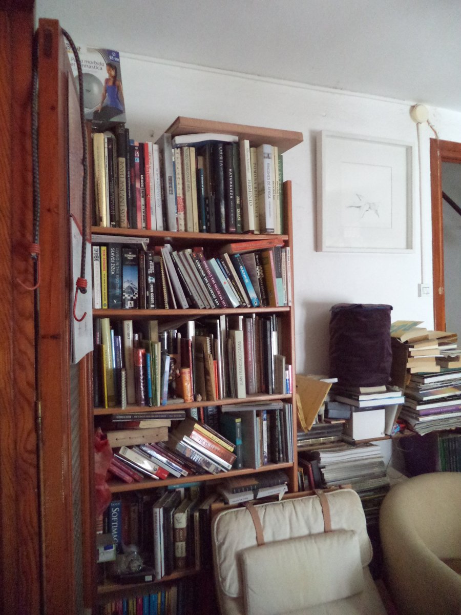 bookshelves