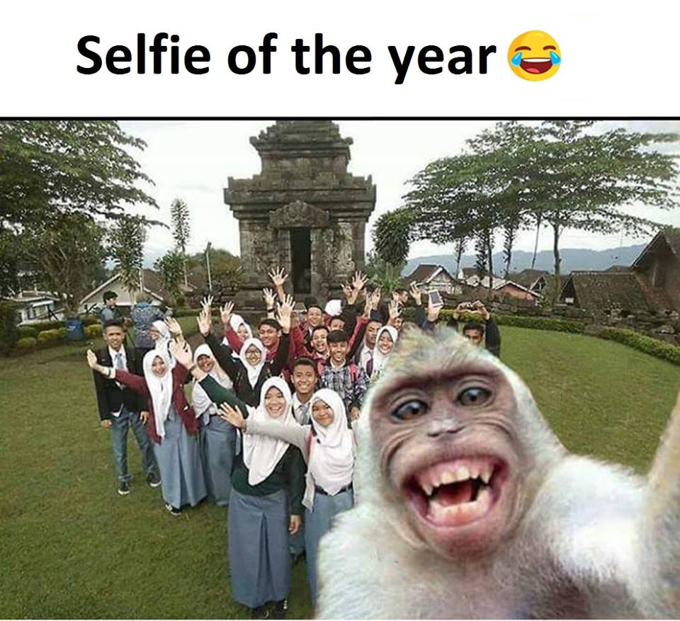 Funny Meme Selfie Of The Year.