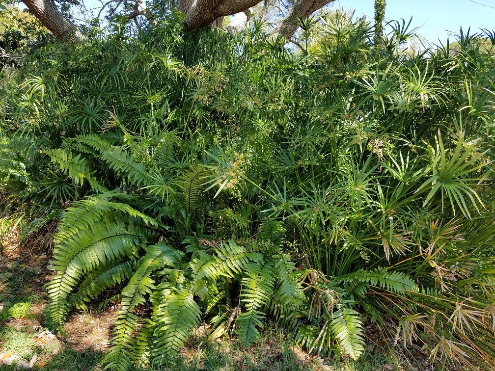 20180324_151436.jpg