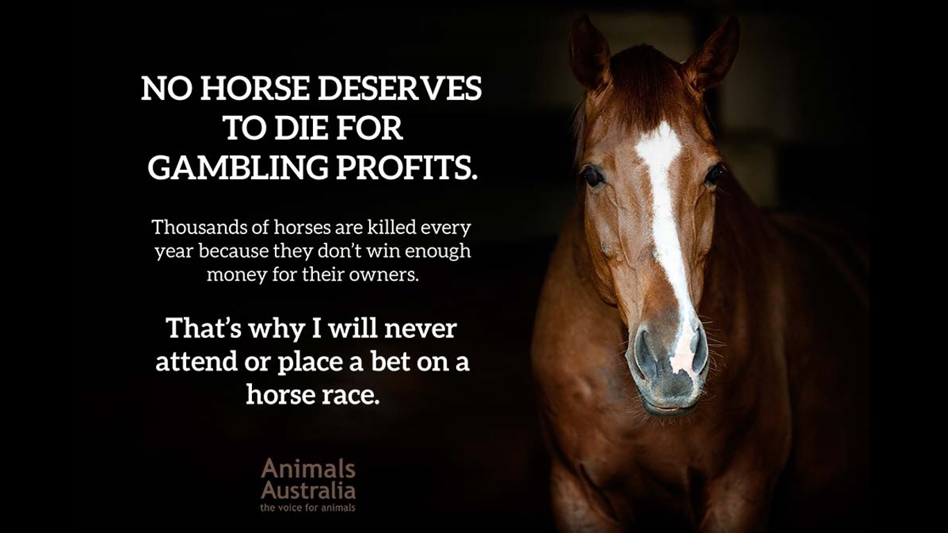 Horse_Bad.jpg