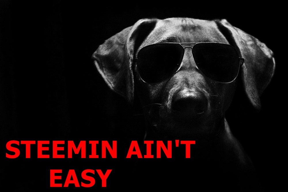 Cool-Dog sTEEMIN AINT EASY.jpg