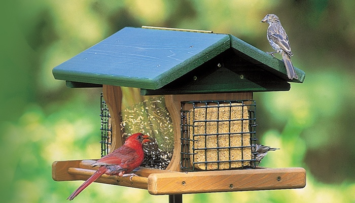 700x400-feeder-wood-ranchette-wbu5189.jpg
