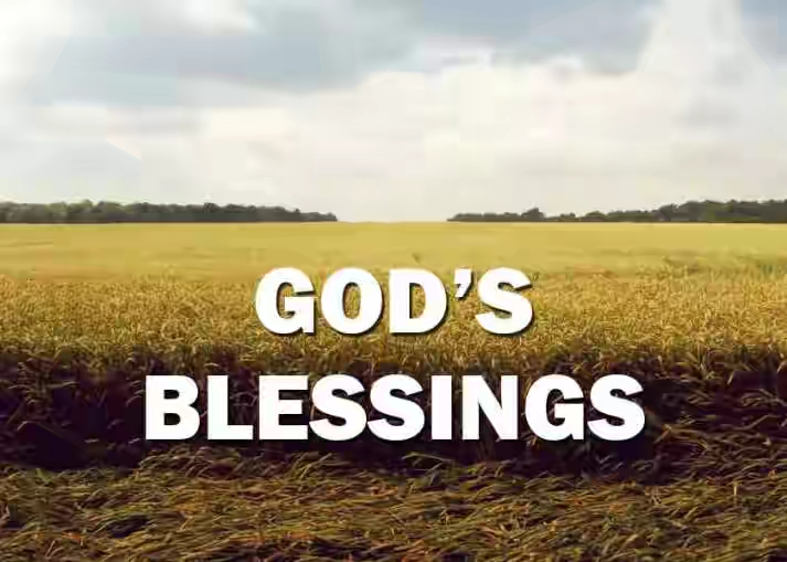 Gods-Blessings-713x509.jpg