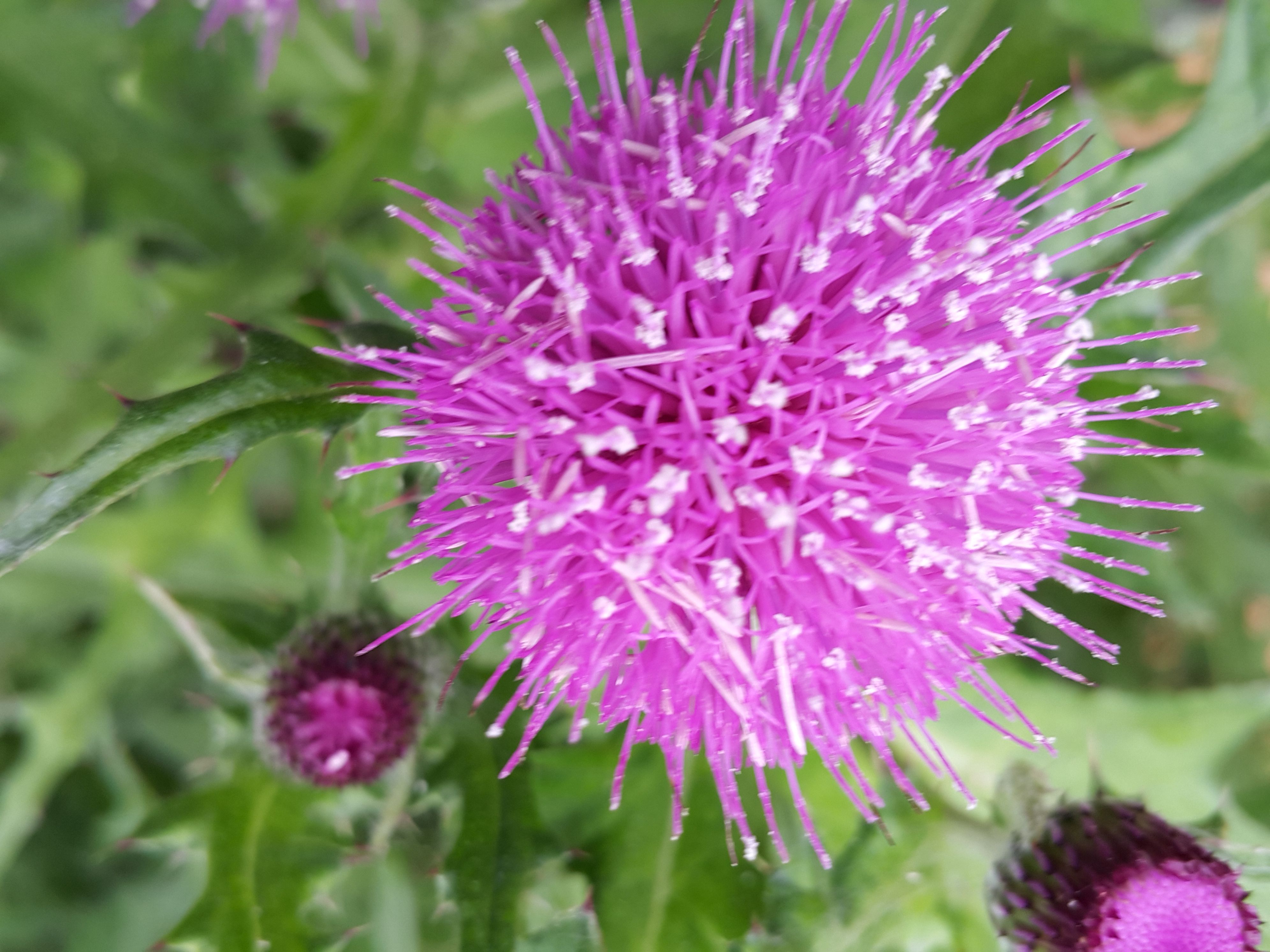 20150518_090739.jpg
