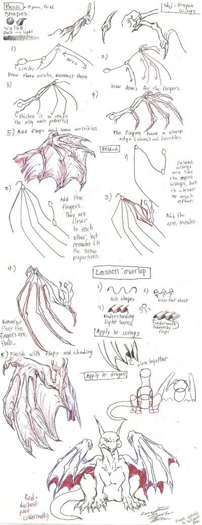 How To Draw Dragon Wings Easy Drawing Tutorials