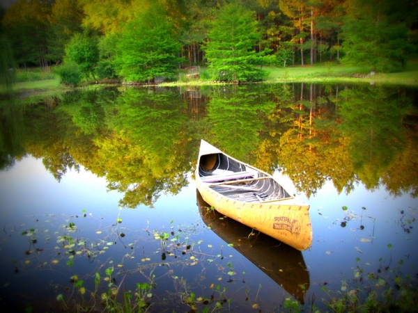 canoe_water_nature_221611.jpg