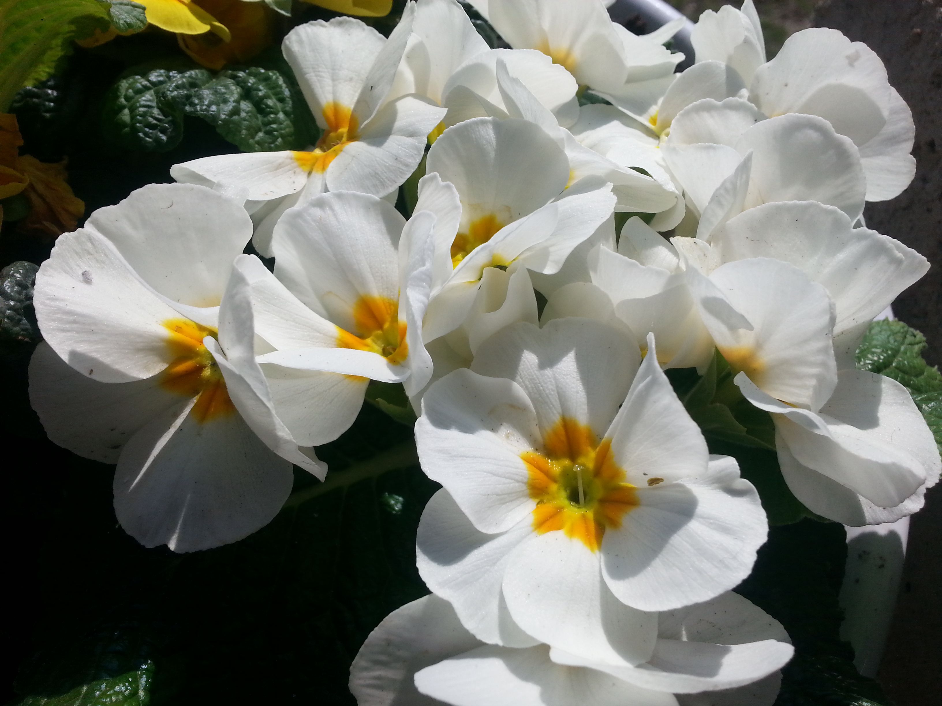 20180412_105045.jpg