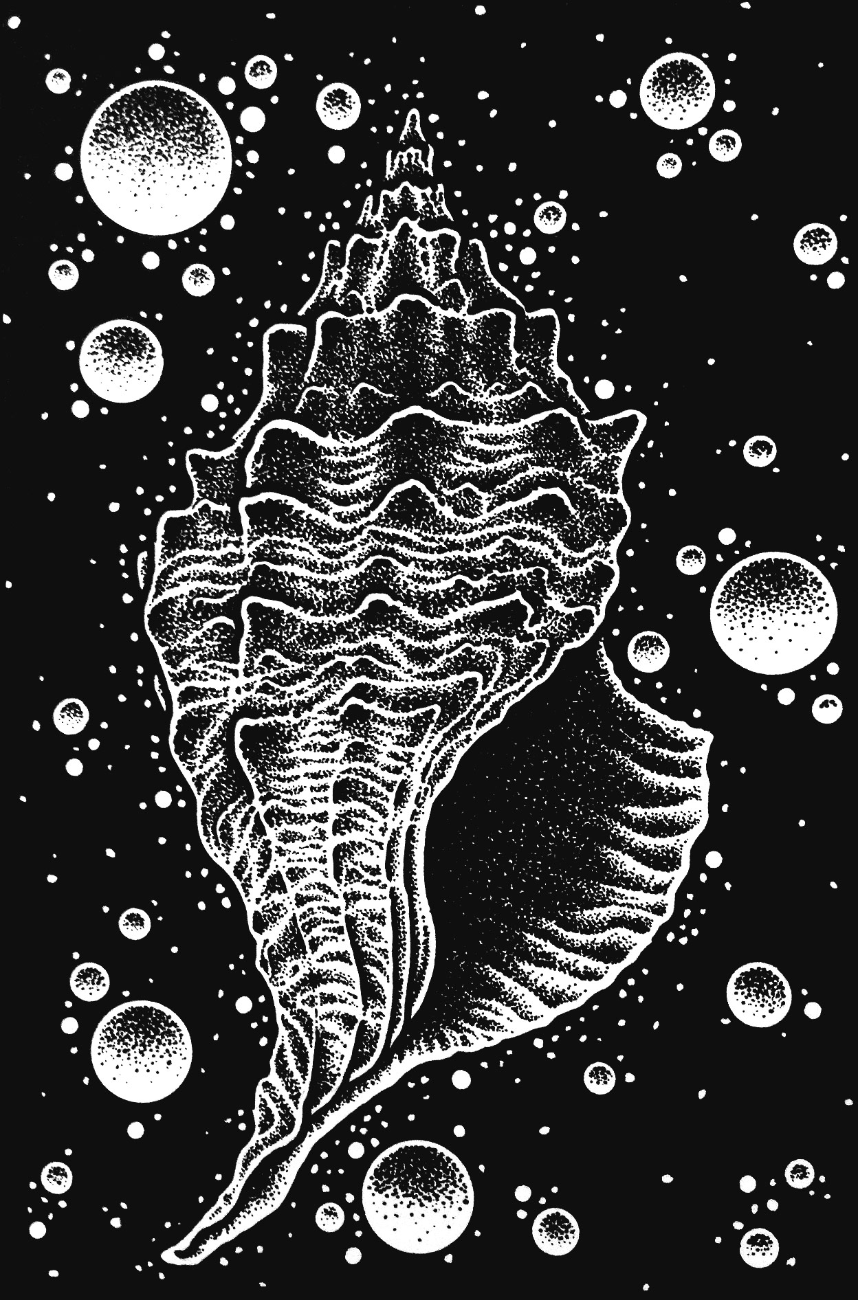 shell.jpg