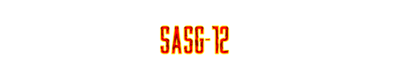 SASG-12.png