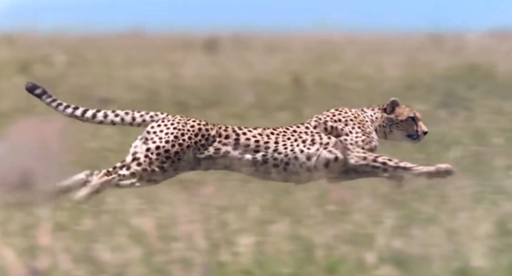 Optimized-Screenshot (69).png