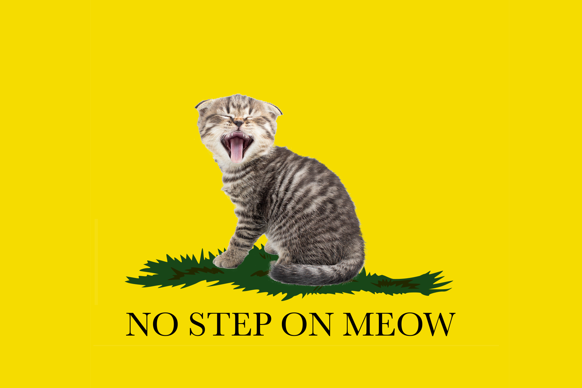 gadson-flag-template.png