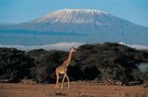 tanzania kilimanjaro.jpg