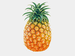 pineapple.jpg