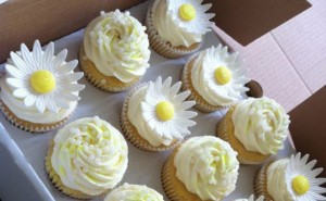 Vanilla-Cupcakes-2-300x185.jpg