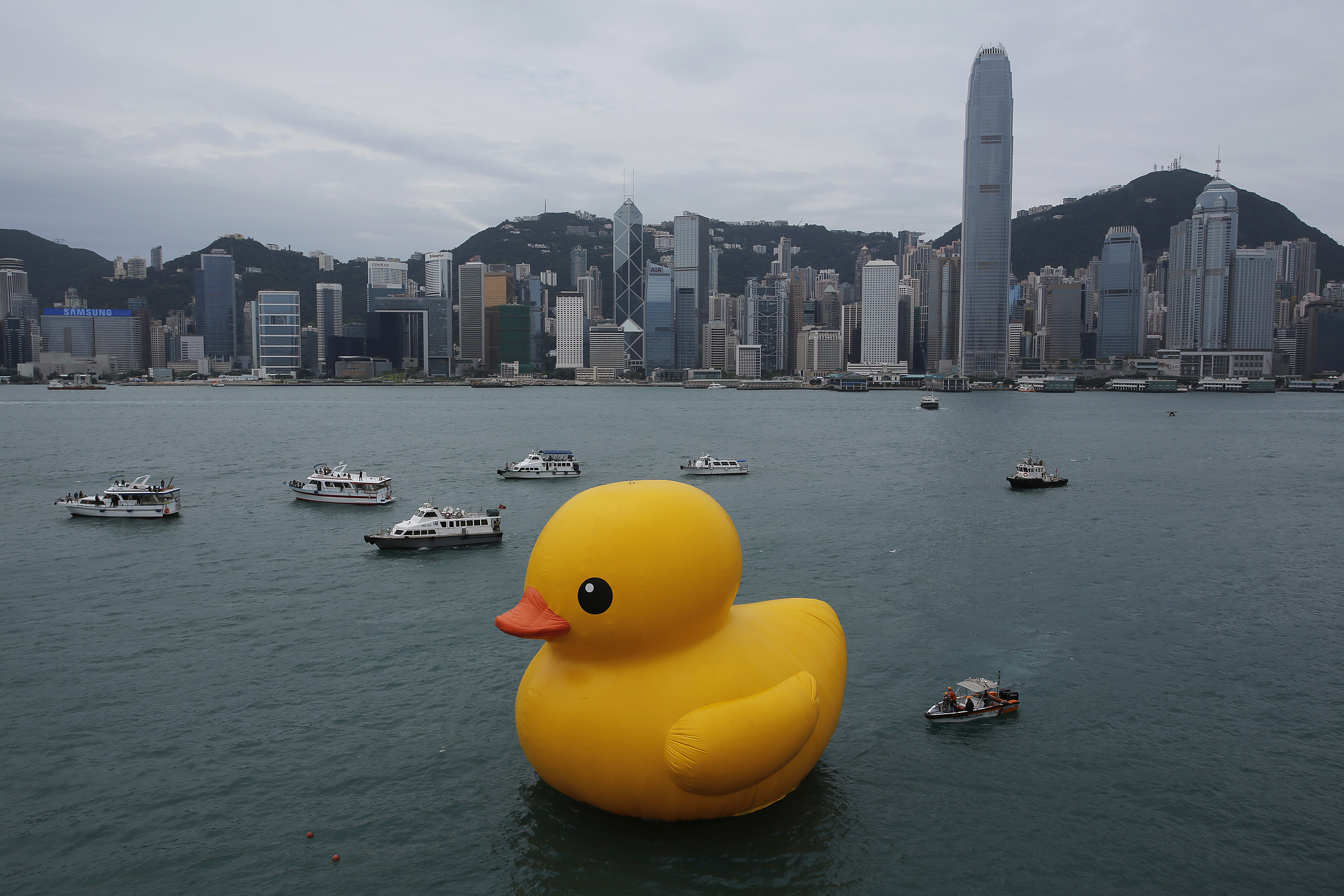 Hong-Kong-Giant-Rubber-Duck.jpeg