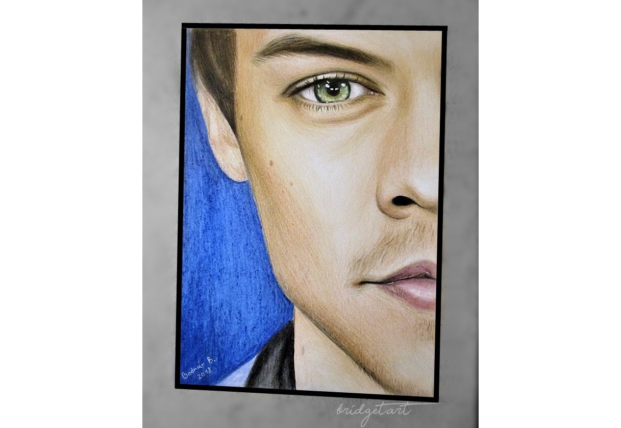 Harry Styles, Drawing by Richard Hanssens | Artmajeur