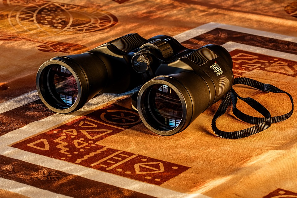 binoculars-431488_960_720.jpg