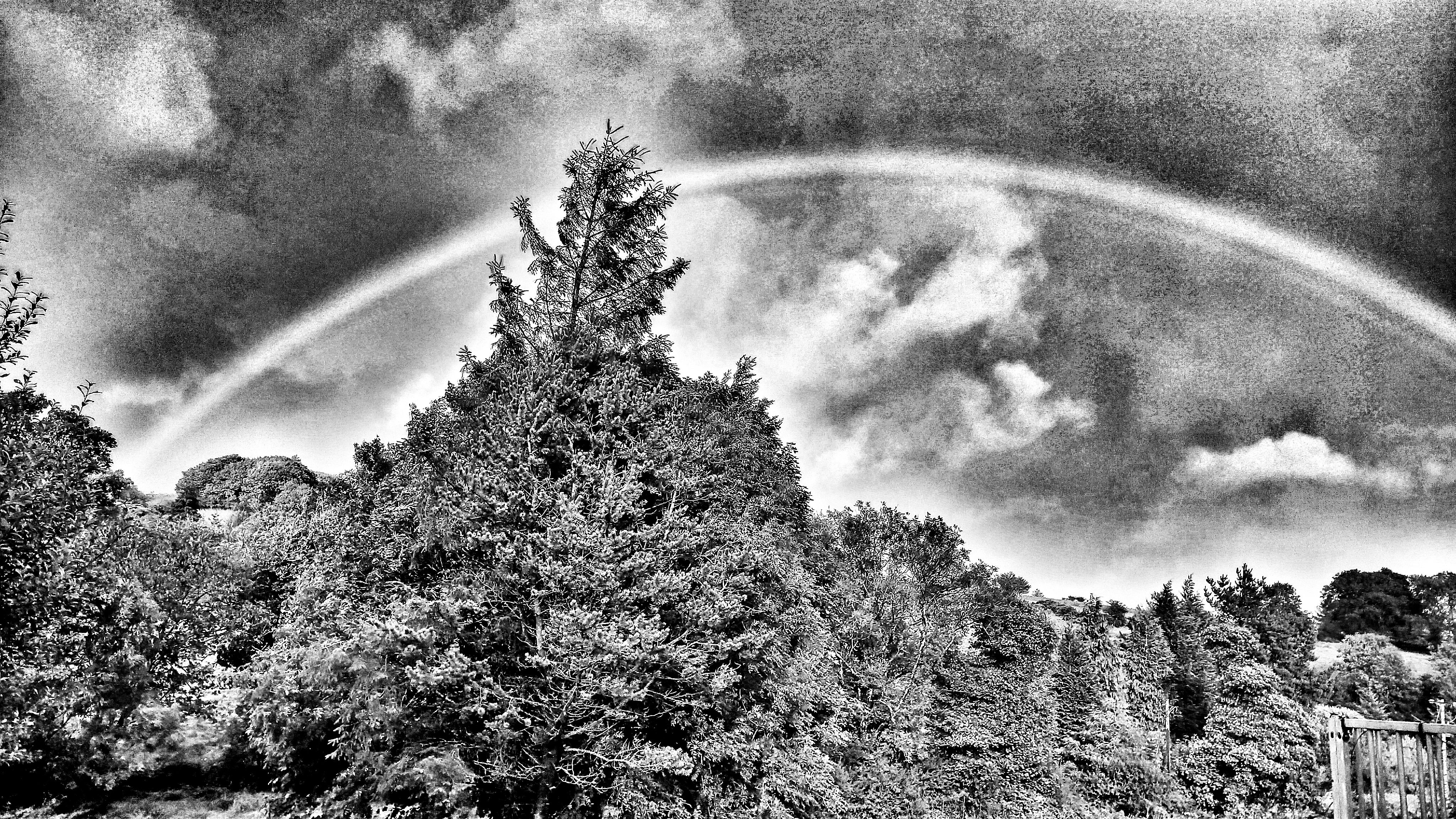 DSC_1293-02-01.jpeg