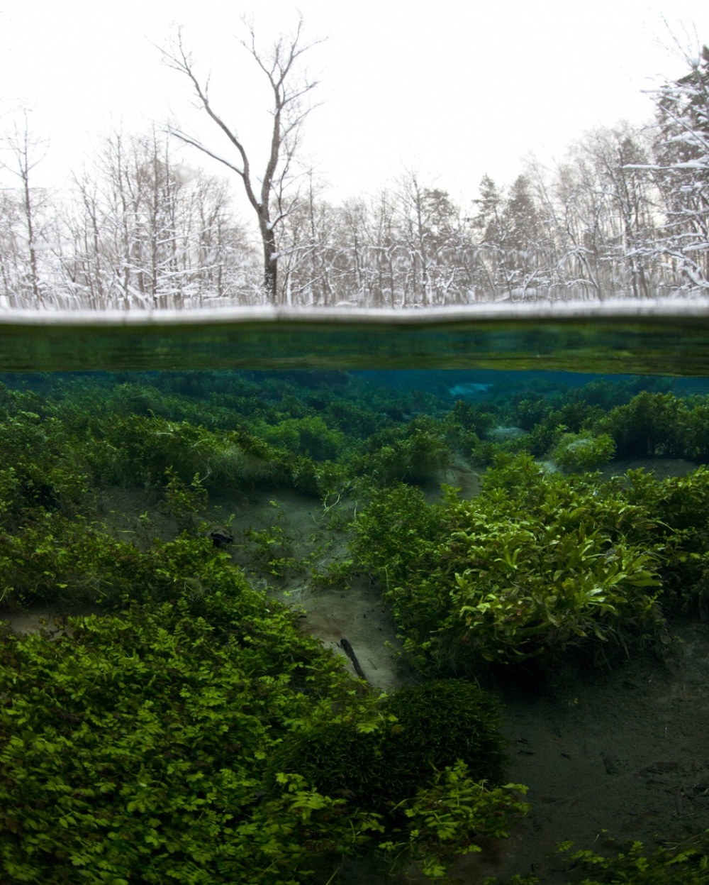 Winter’s abrupt arrival, Mari El, Russia.jpg