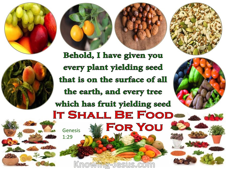 Genesis 1-29 It Shall Be Food For You-white (1).jpg