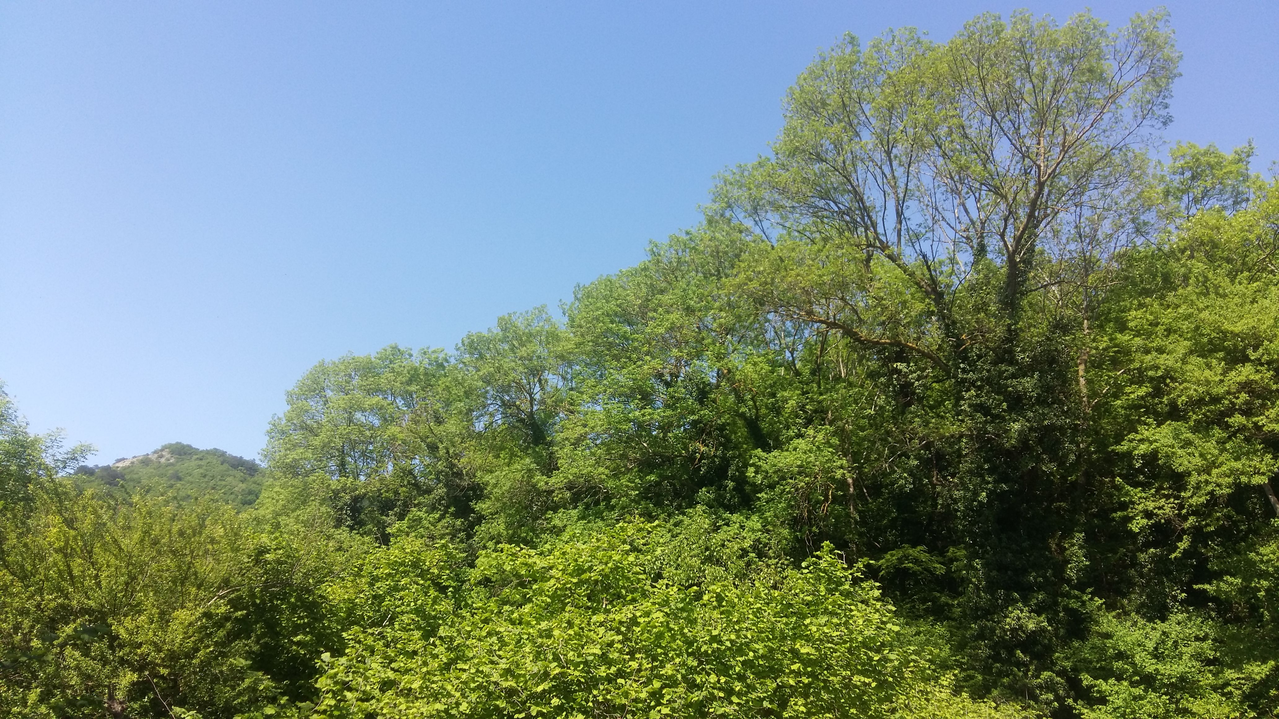 20180502_102108.jpg