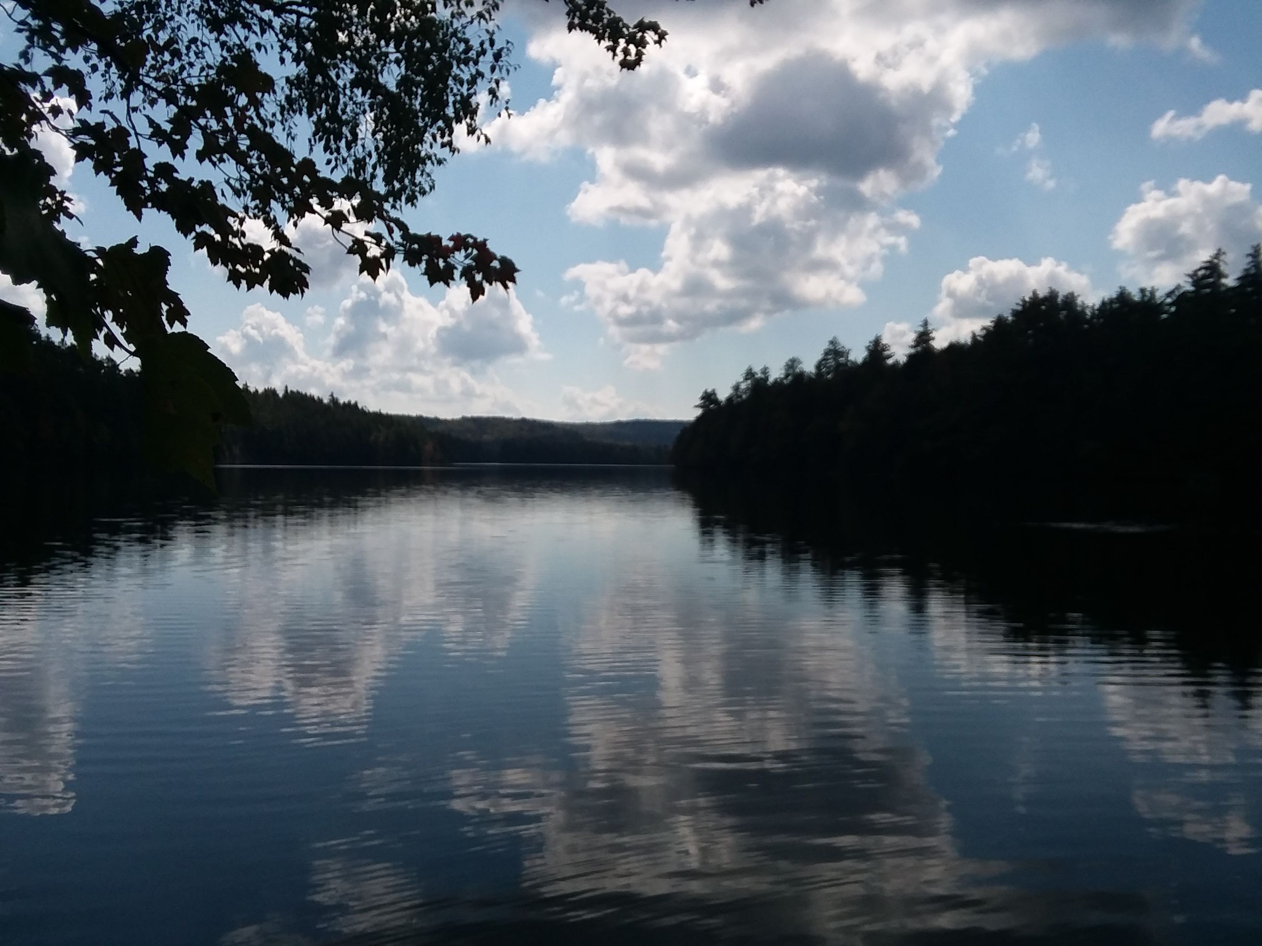 20170918_124250.jpg
