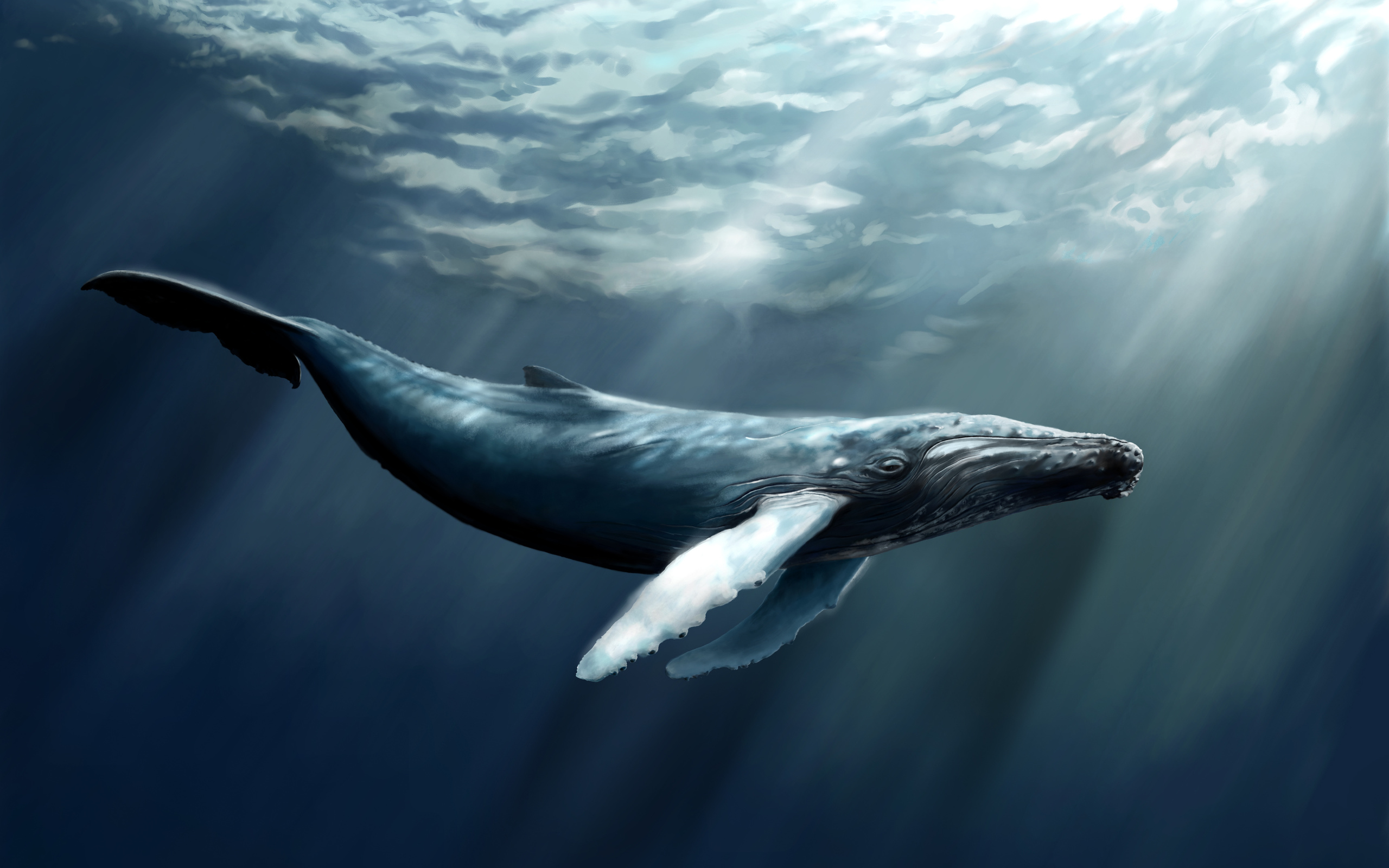 whale .jpg