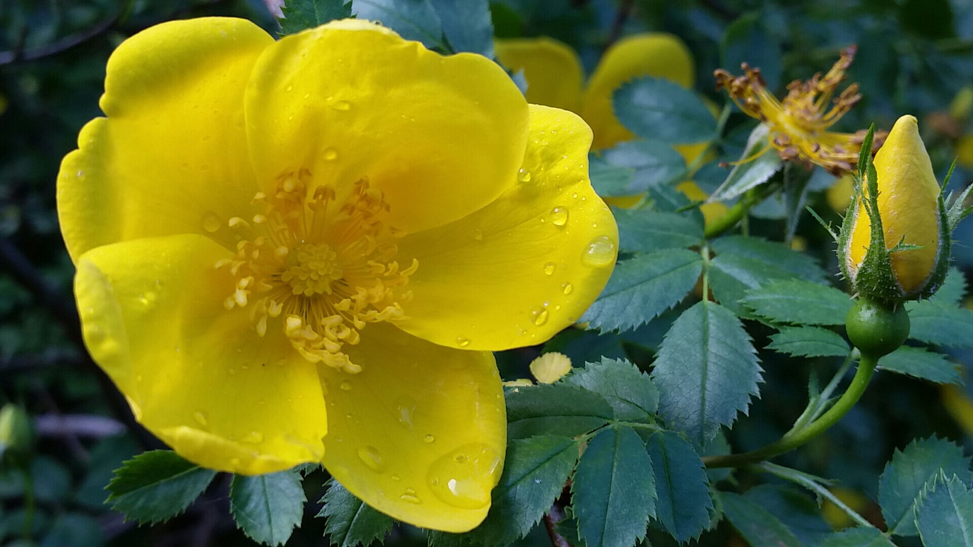 20150427_111200.jpg