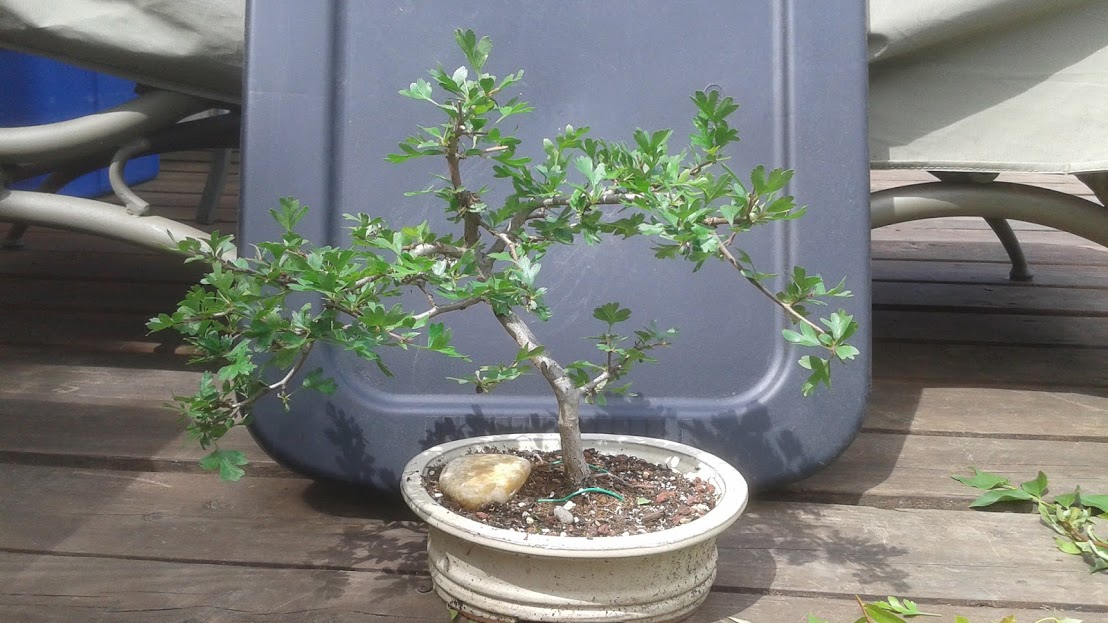 20180505_142217.jpg