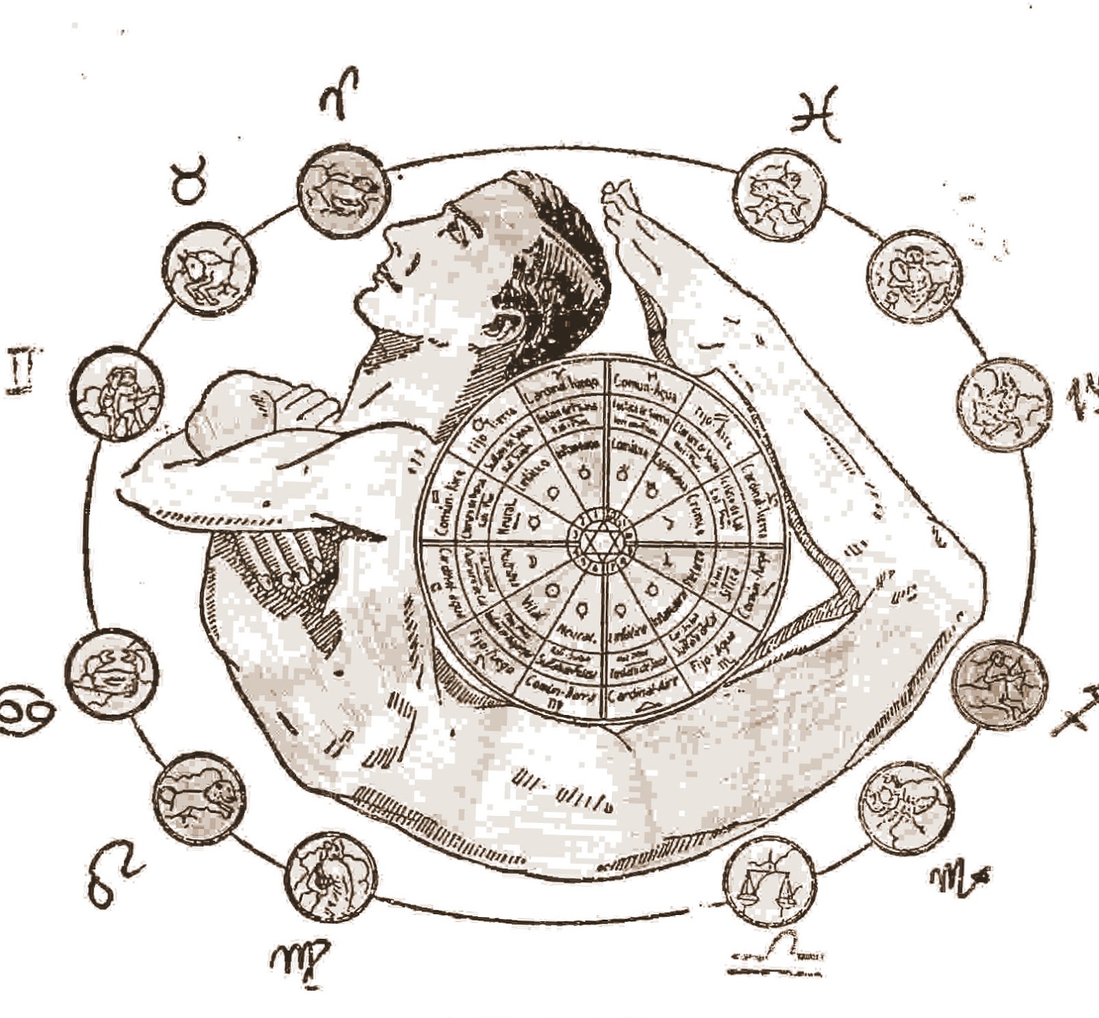 Hombre zodiacal.jpg