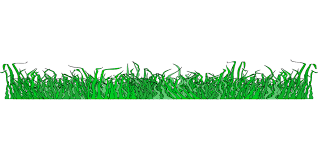 grass.png