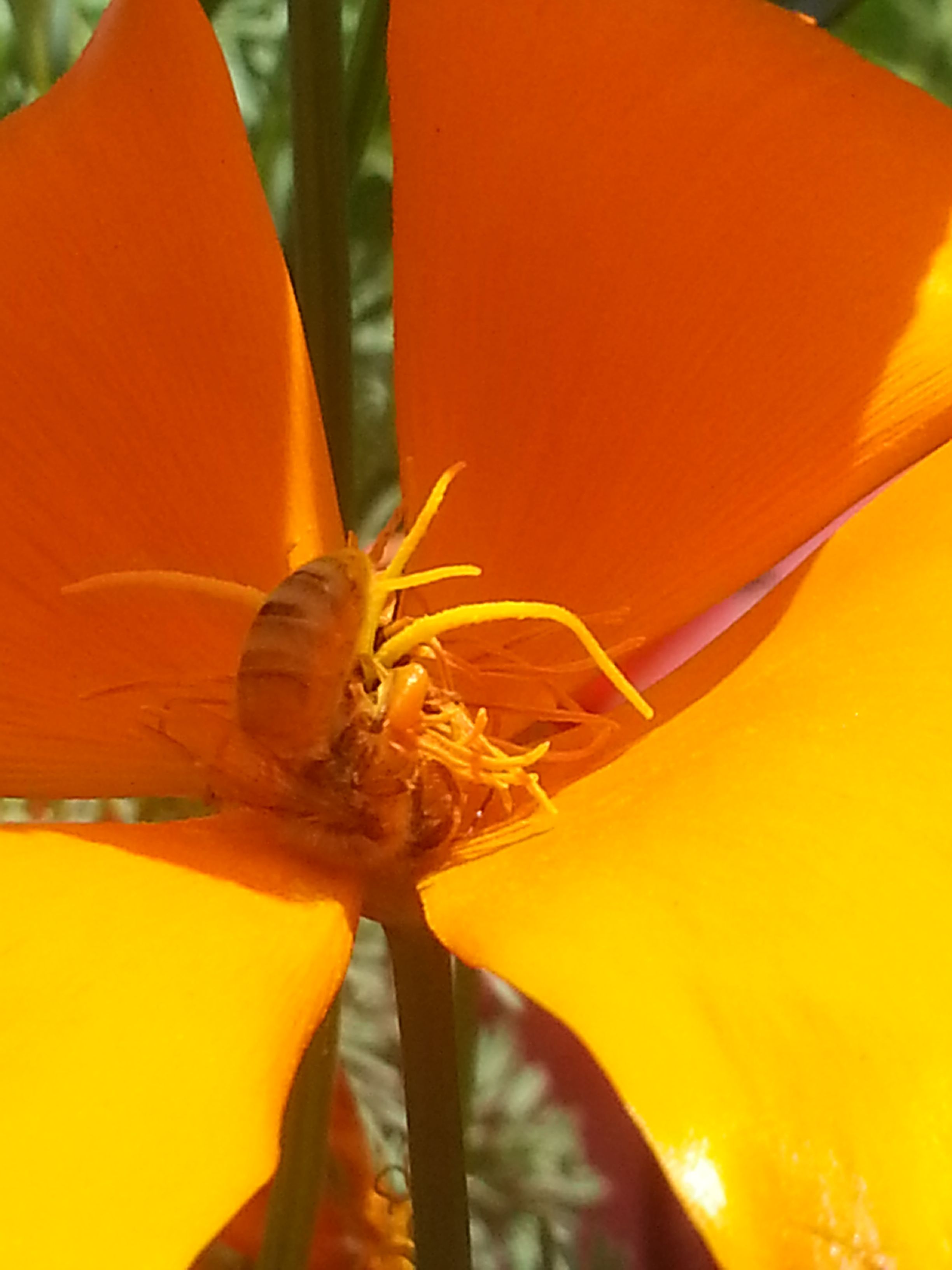 20180519_153617.jpg