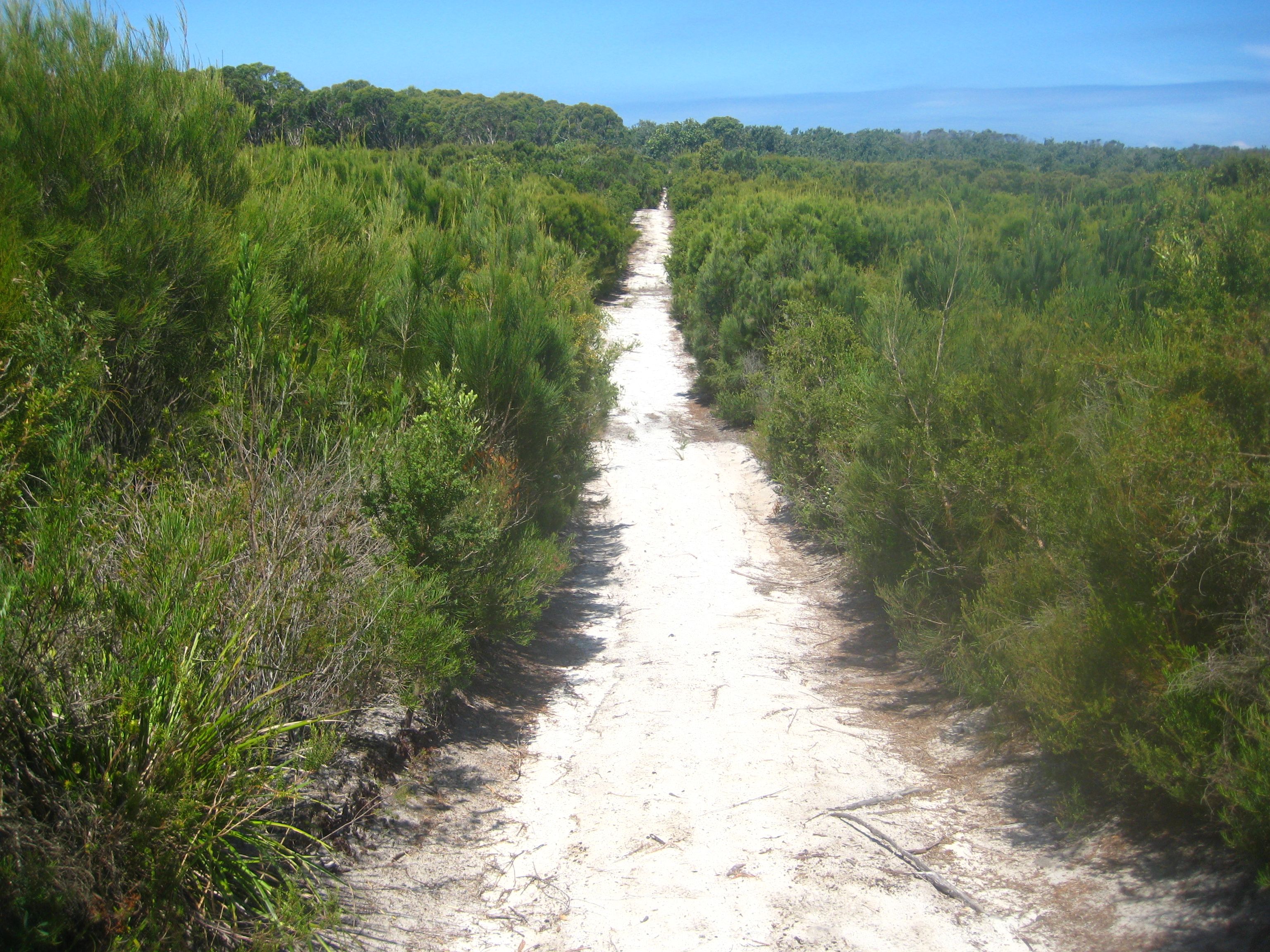 daydreams4rock n miki 840.JPG