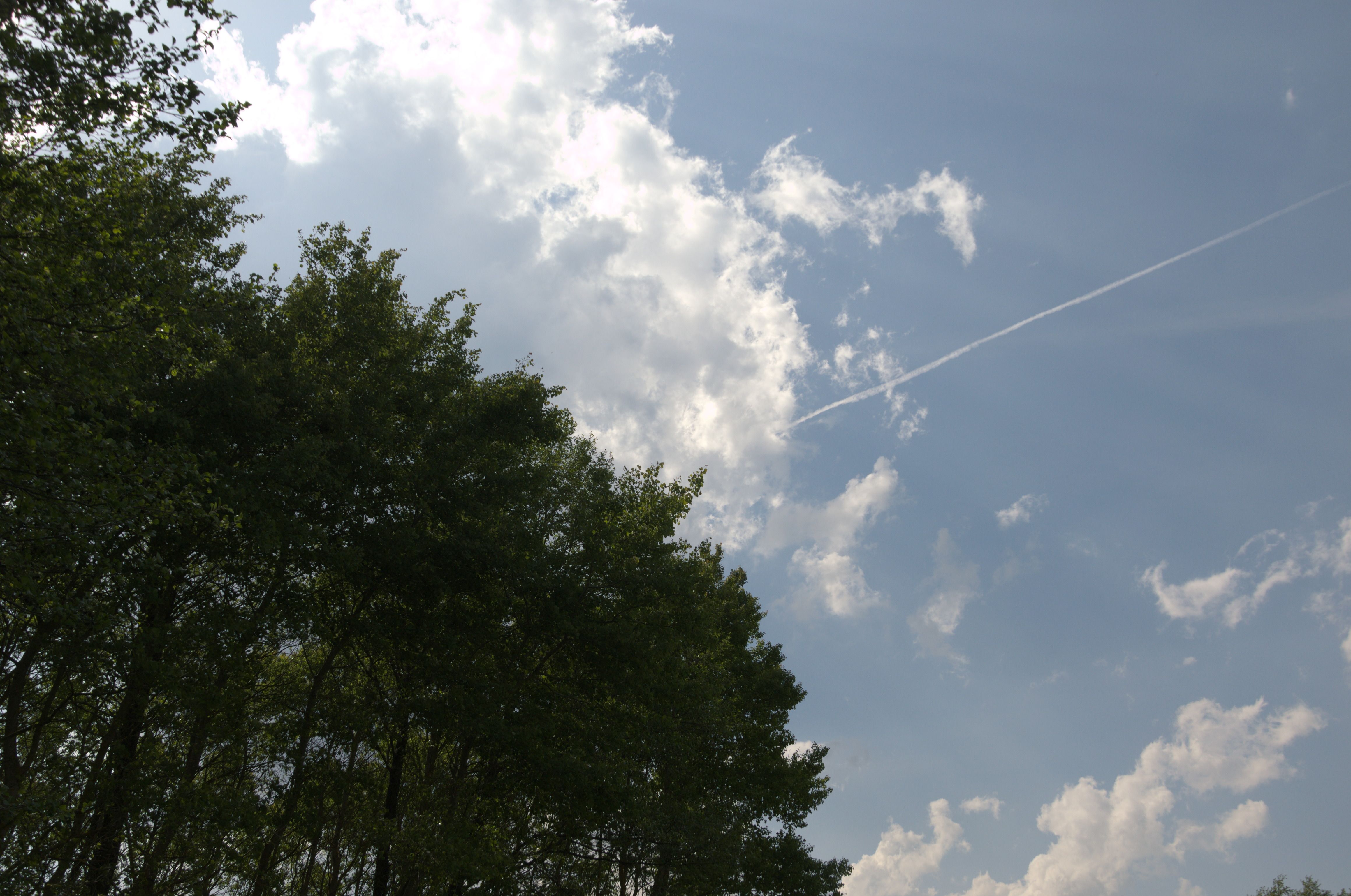 DSC_0564.jpg
