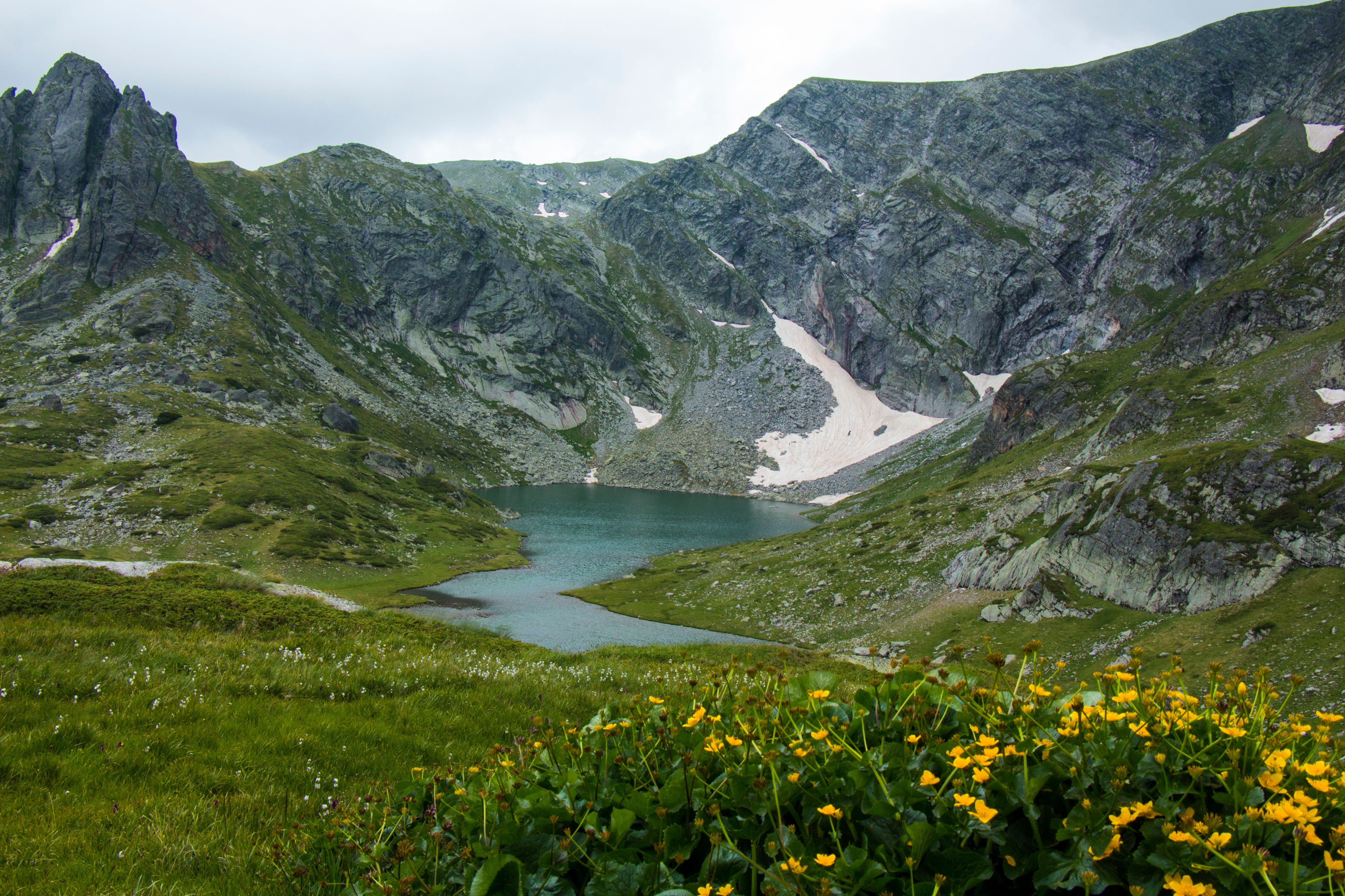 The beautiful nature of Bulgaria Steemit