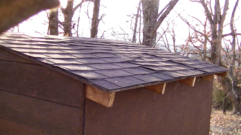 180516-04_first-chicken-coop-05_800x450.png