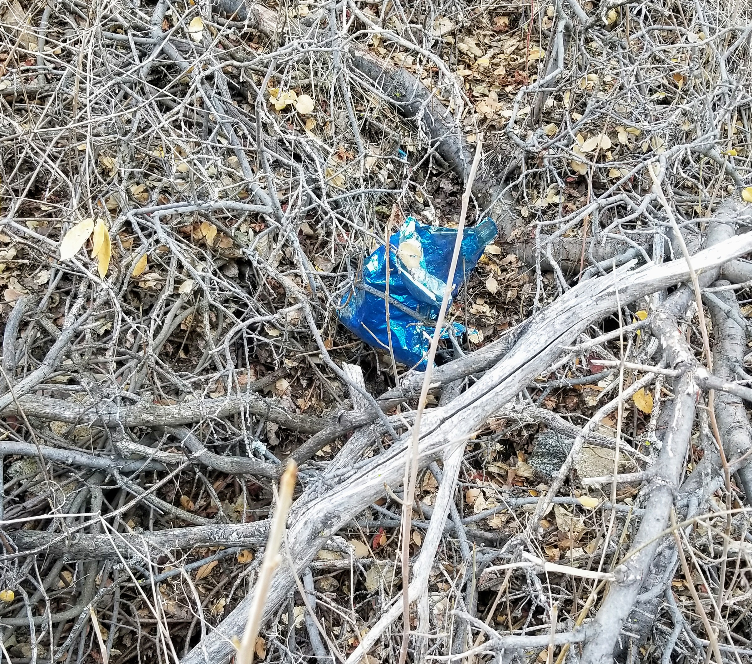 20180127_104212.jpg