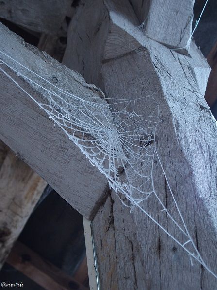 web.JPG