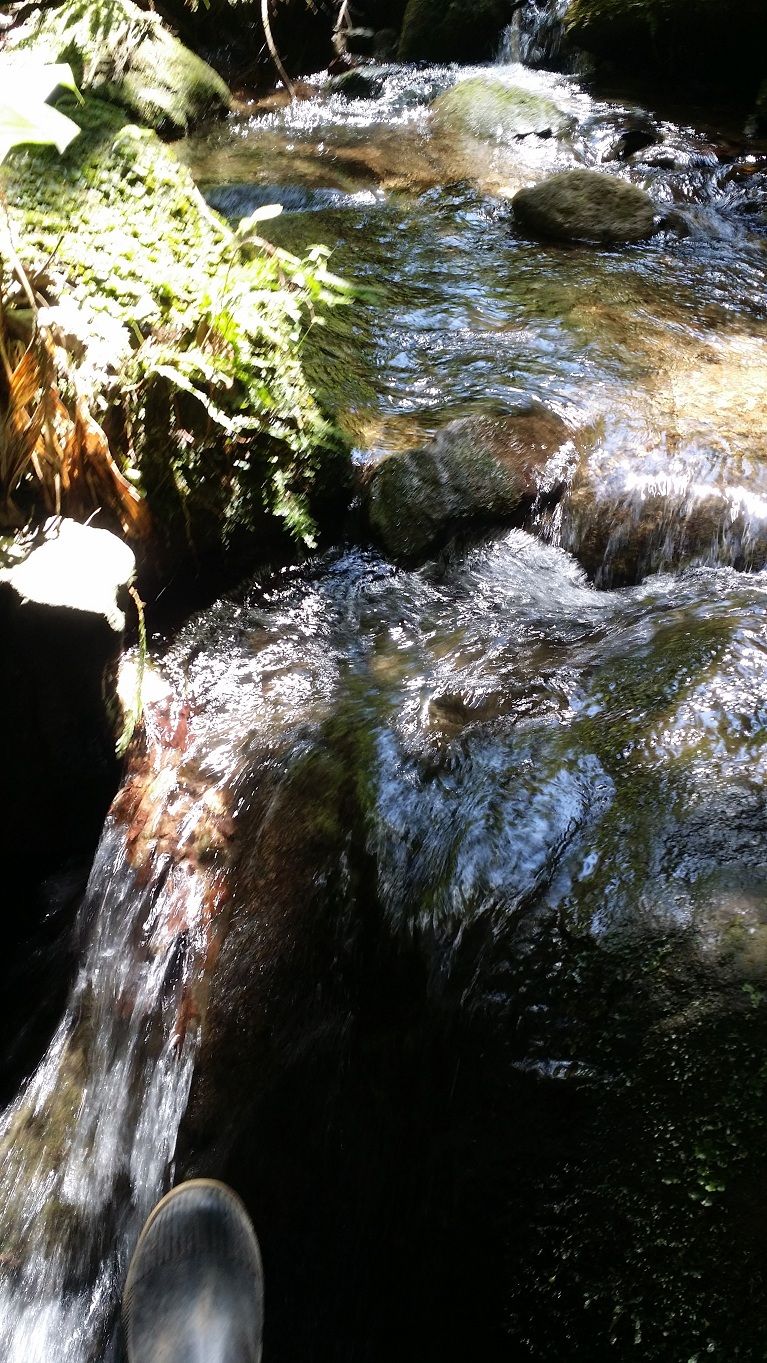 17 - Rocky waterfall navigating through the nature reserve.jpg