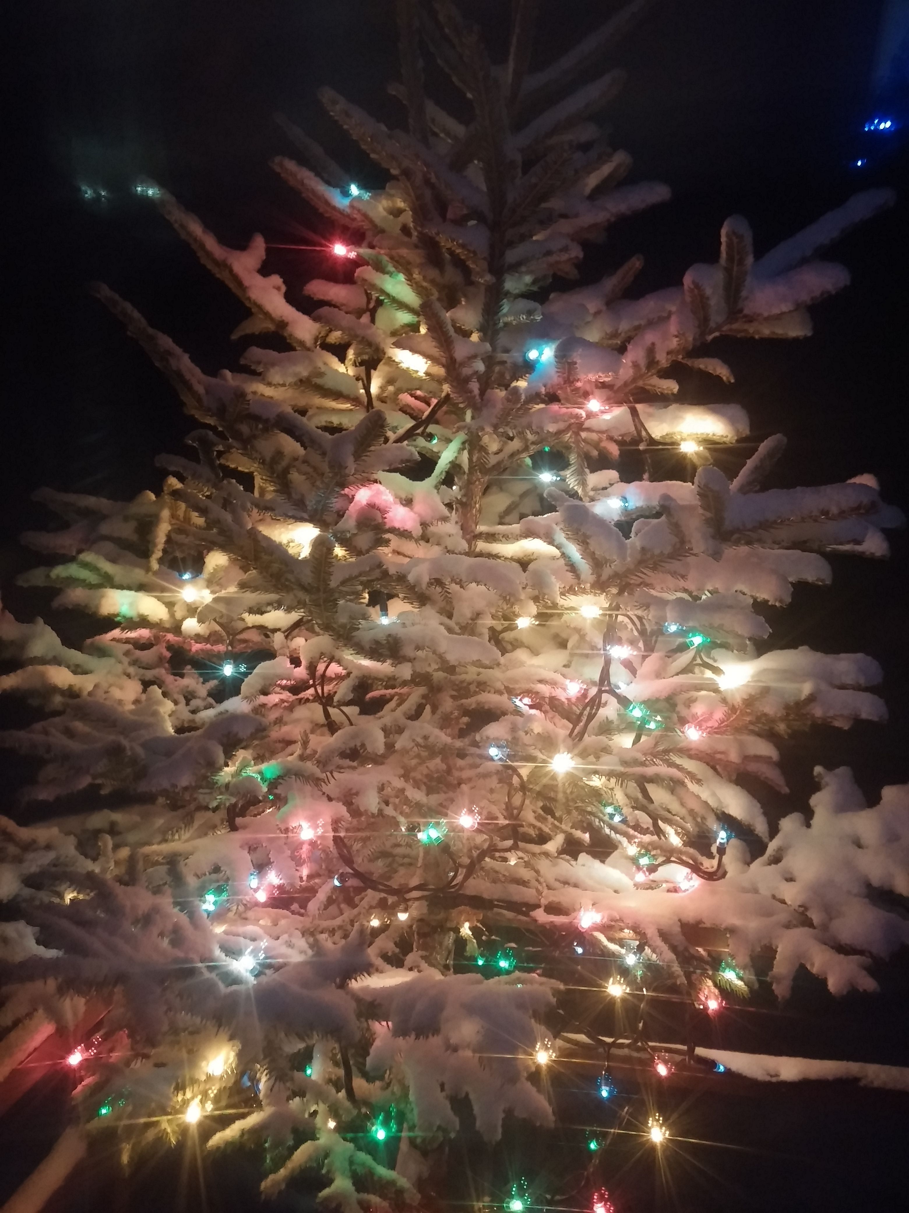 20170113_194214.jpg