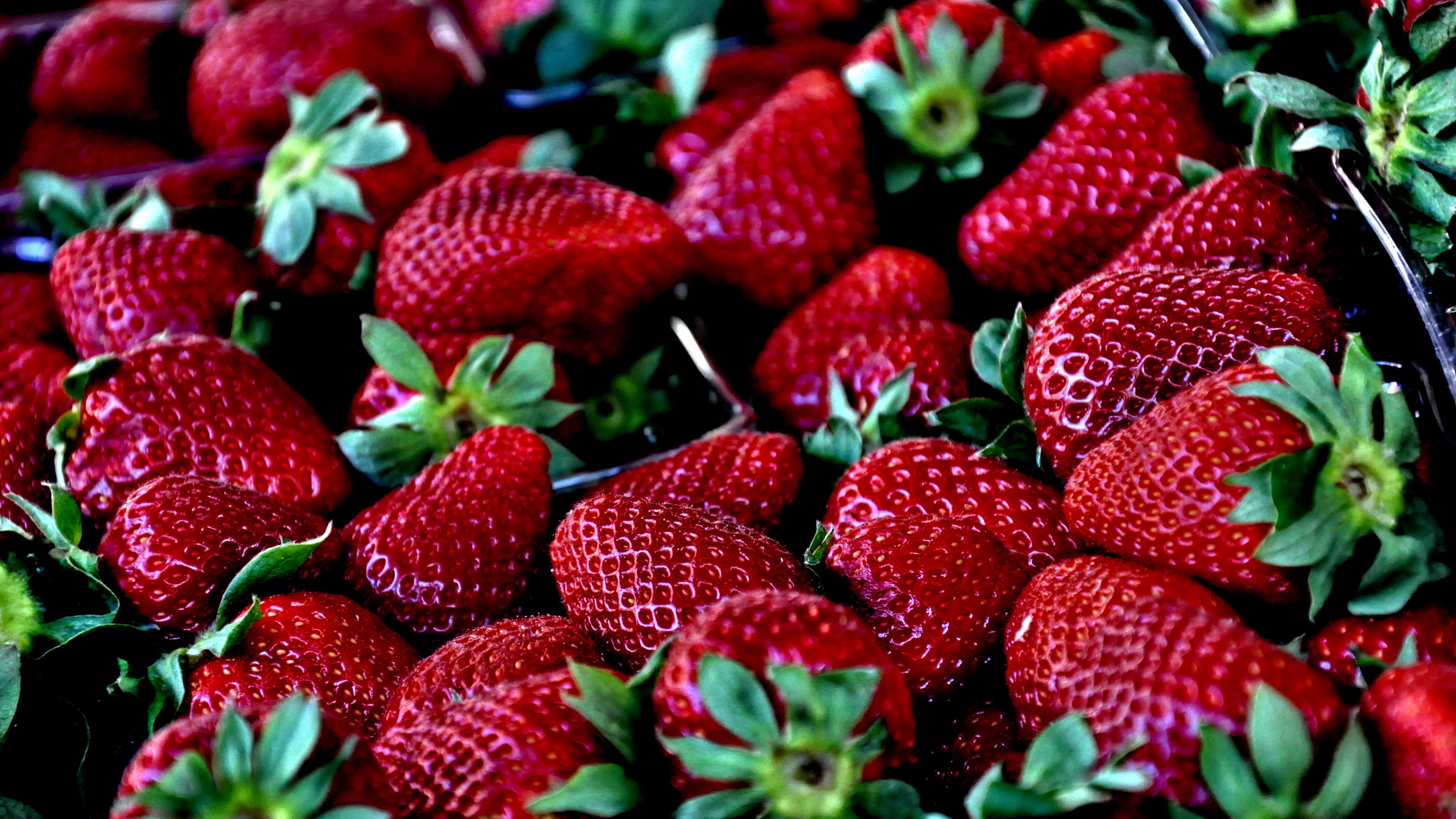 strawberry-629180.jpg