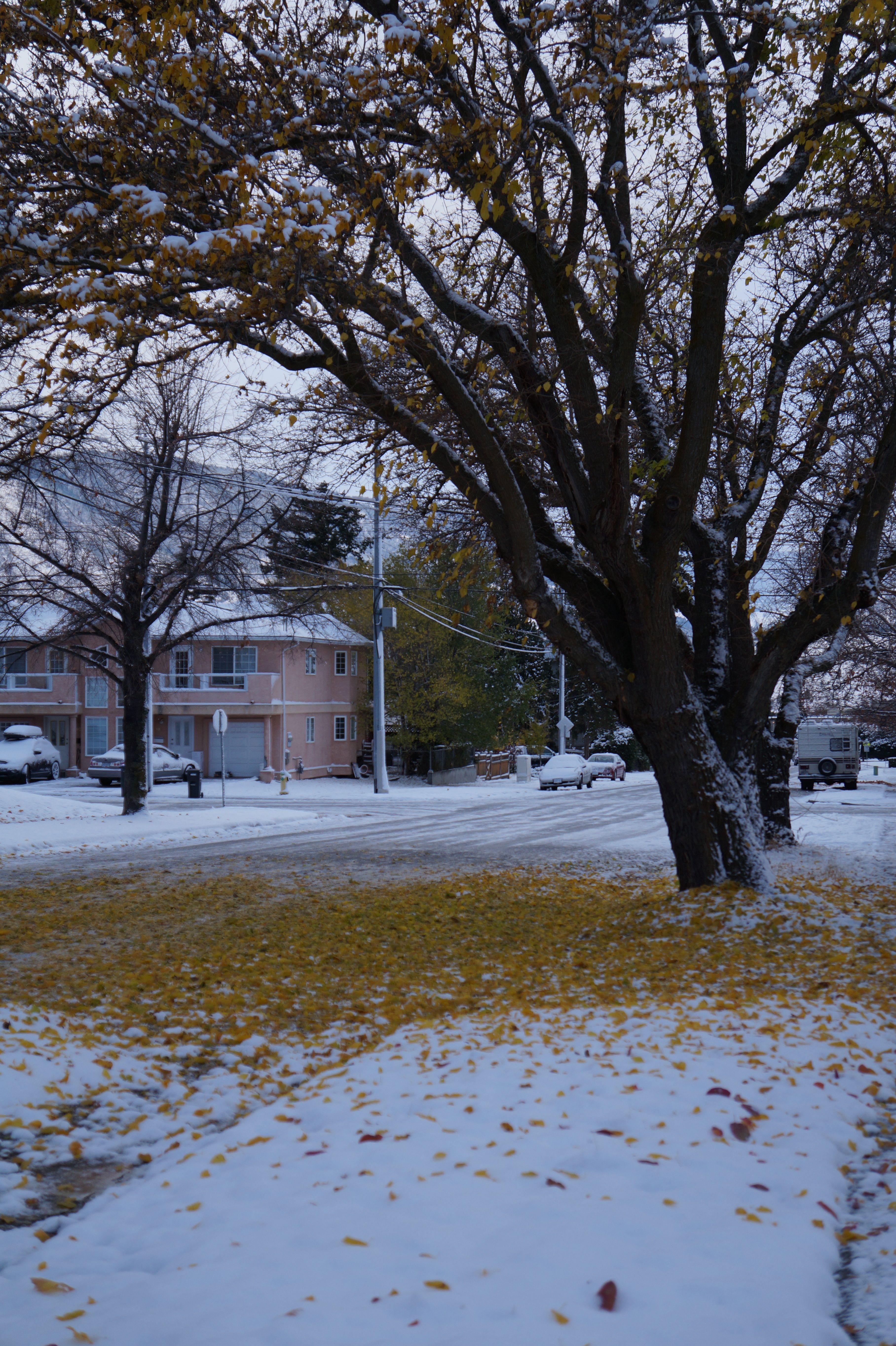 DSC04021.JPG