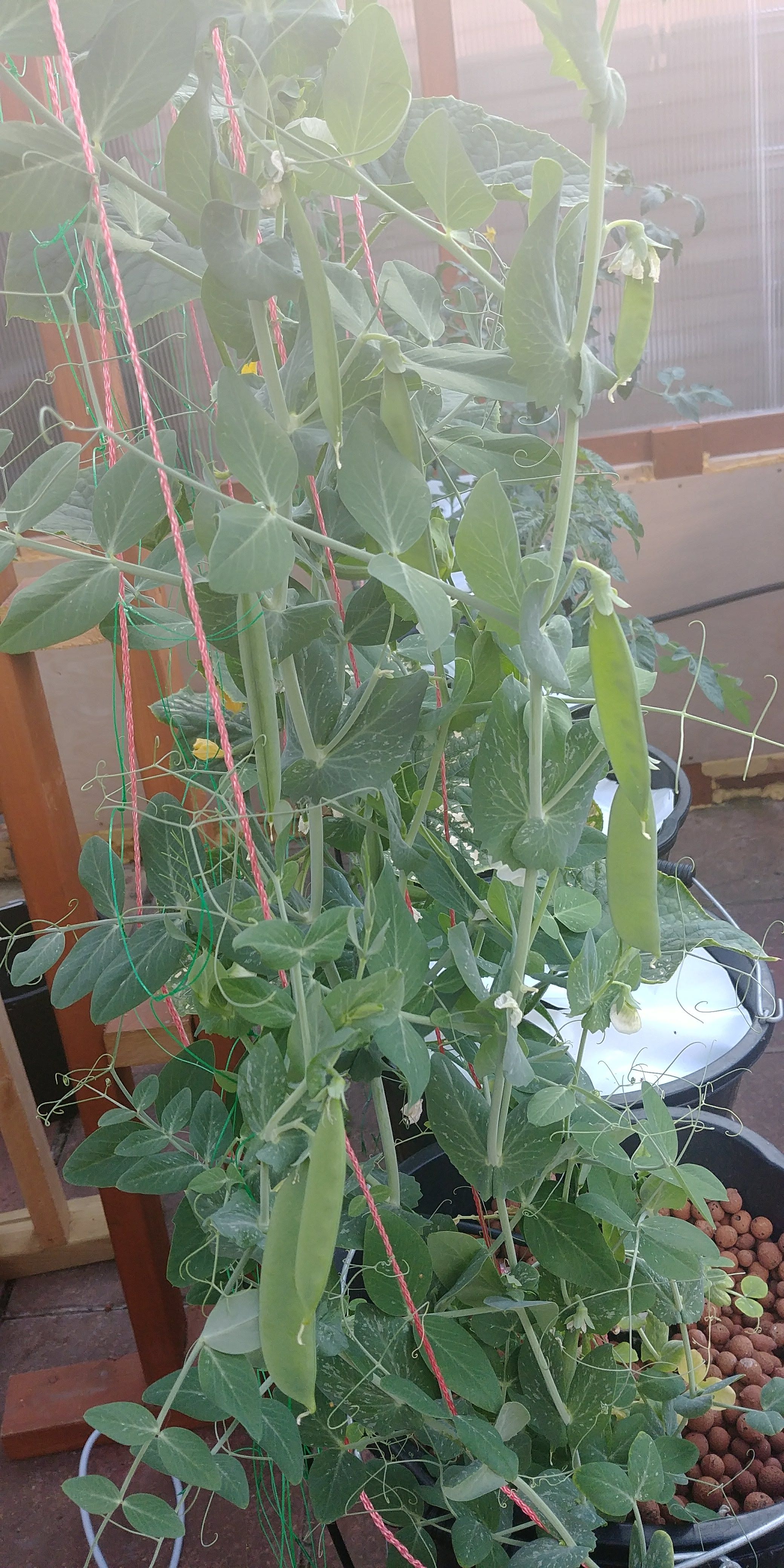 20180522_081244.jpg