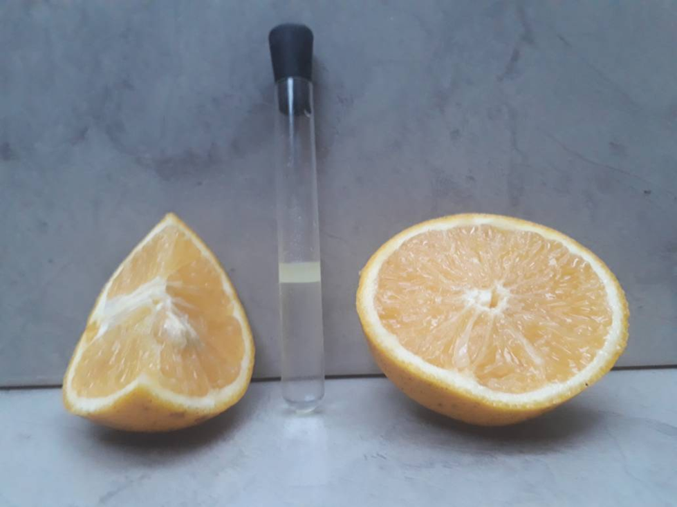 Hazme Credencial Más Demostración del proceso de extracción del aceite esencial en la cascara de  la Naranja por los métodos de extracción: Soxhlet y Arrastre de Vapor  |Área: Procesos Químicos | — Steemit
