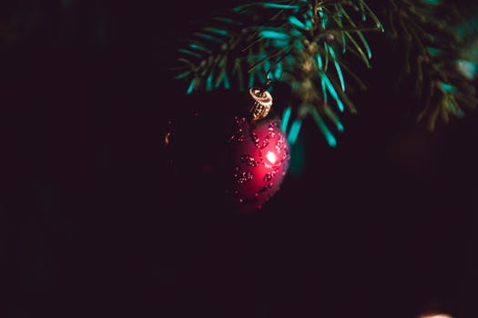 xmas.jpeg