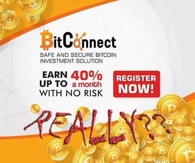 bitconnect no risk.jpg